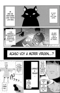 Ningen ni Natta Neko | La Gata Que Se Volvió Humana