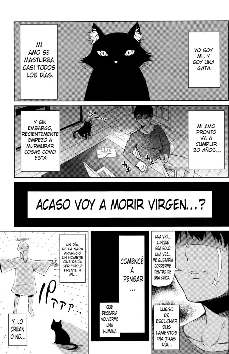 Ningen ni Natta Neko | La Gata Que Se Volvió Humana