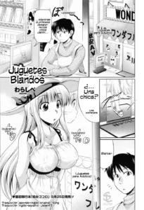 Omocha de Nuchanucha | Juguetes Blandos
