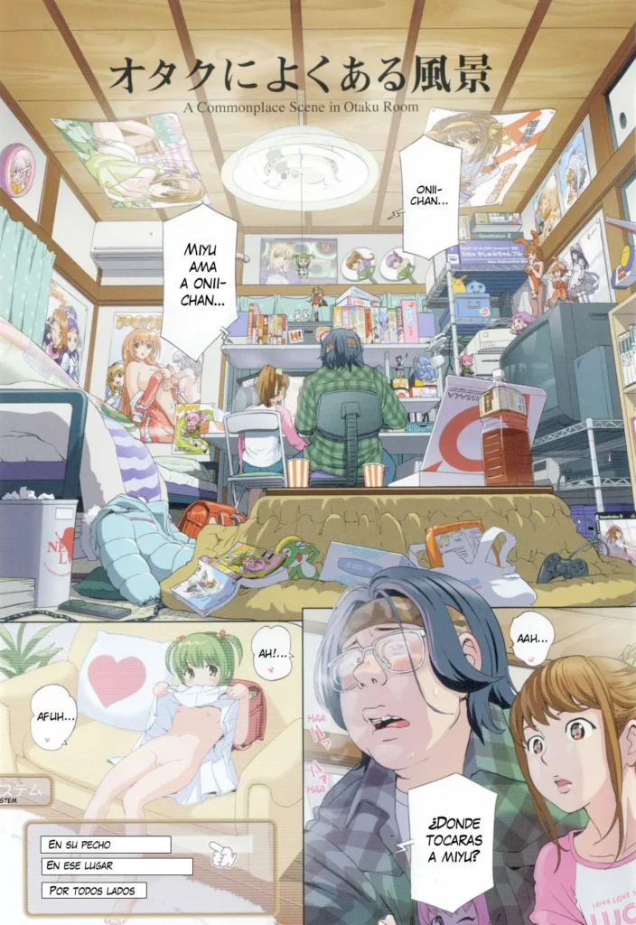 Otaku ni Yoku Aru Fuukei – A Commonplace Scene in Otaku Room