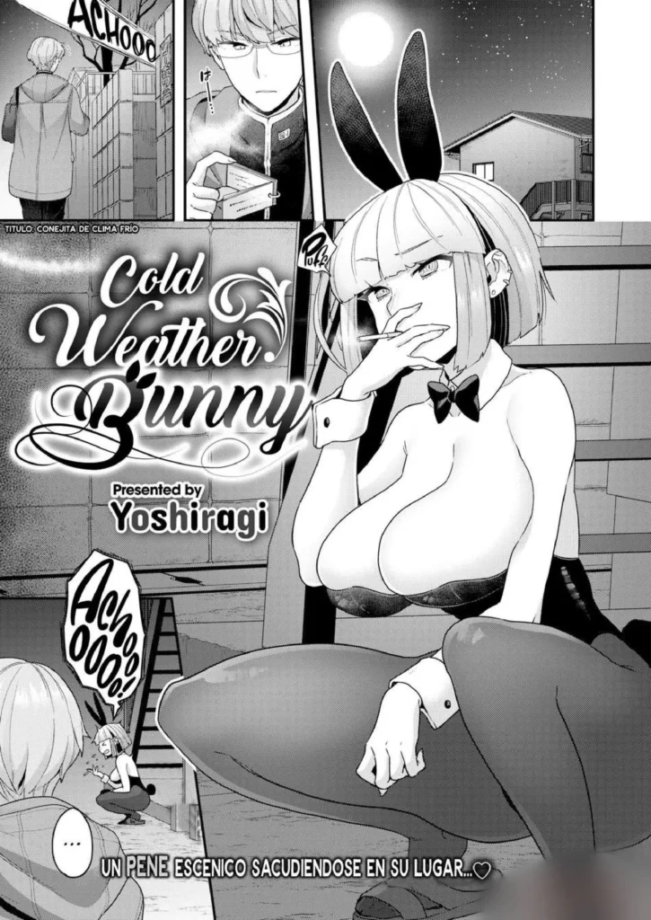 Samuzora Bunny – Cold Weather Bunny