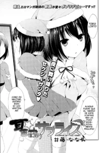 Seiya no Surprise