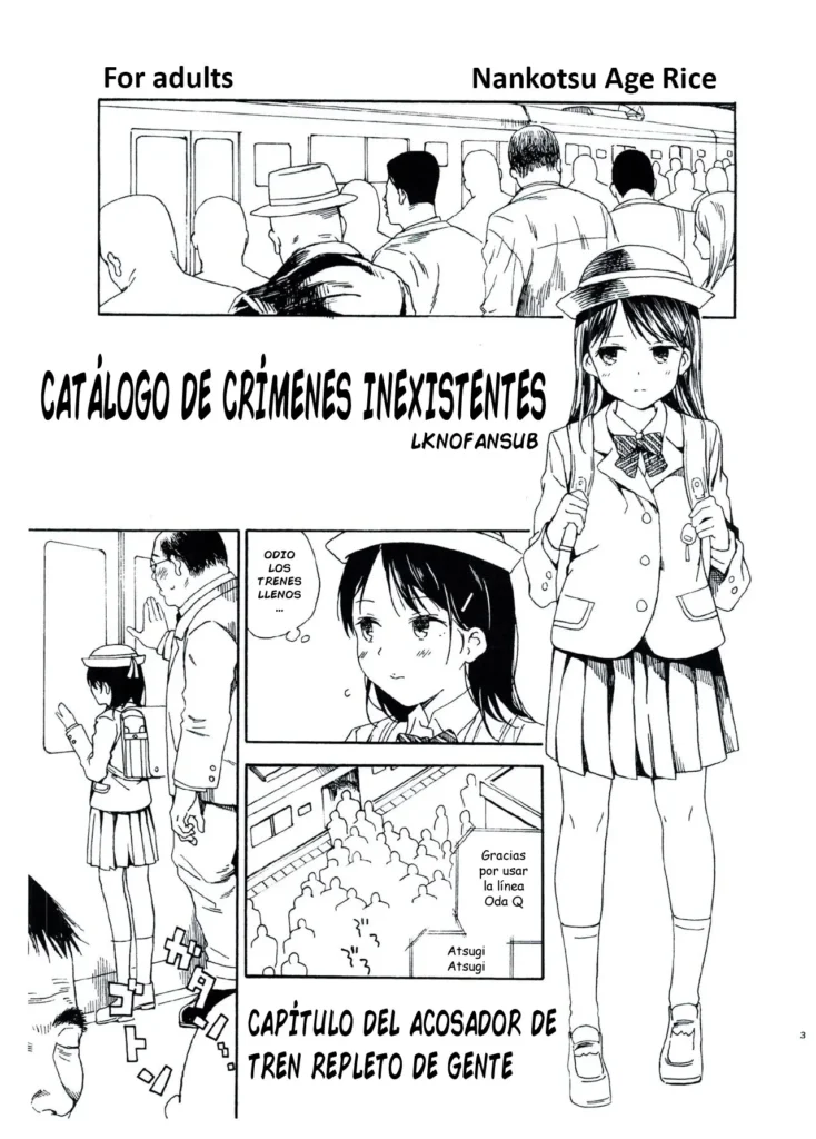 Hijitsuzai Hanzai Mokuroku Natsuyasumi no Kouen Koushuu Benjo Hen | Catálogo de Crímenes Inexistentes